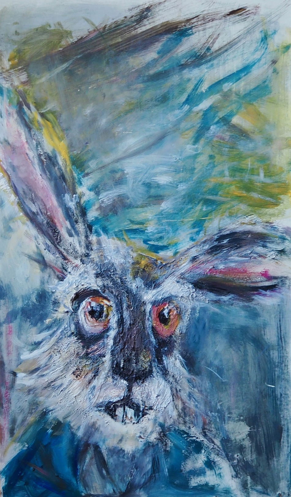 hase